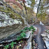 Review photo of Devil's Den State Park Campground by Kelly G., November 14, 2021