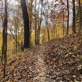 Review photo of Devil's Den State Park Campground by Kelly G., November 14, 2021