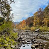 Review photo of Devil's Den State Park Campground by Kelly G., November 14, 2021