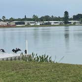 Review photo of Pleasant Lake RV Resort by Brenda A., November 14, 2021