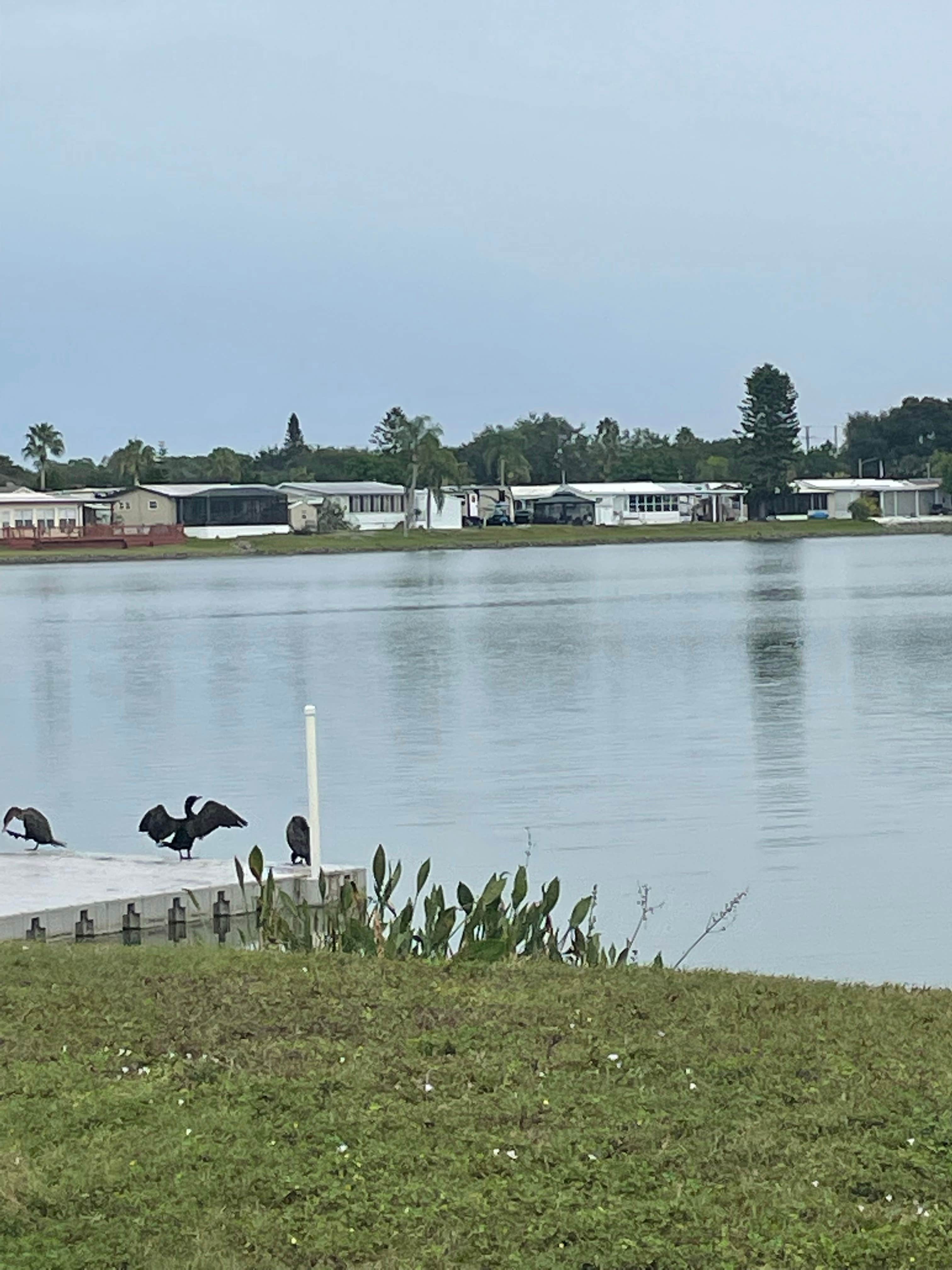 Camper submitted image from Pleasant Lake RV Resort - 3