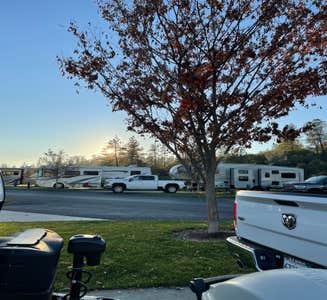 Camper-submitted photo from Beals Point Campground — Folsom Lake State Recreation Area