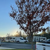 Review photo of Jackson Rancheria RV Park by susan R., November 14, 2021