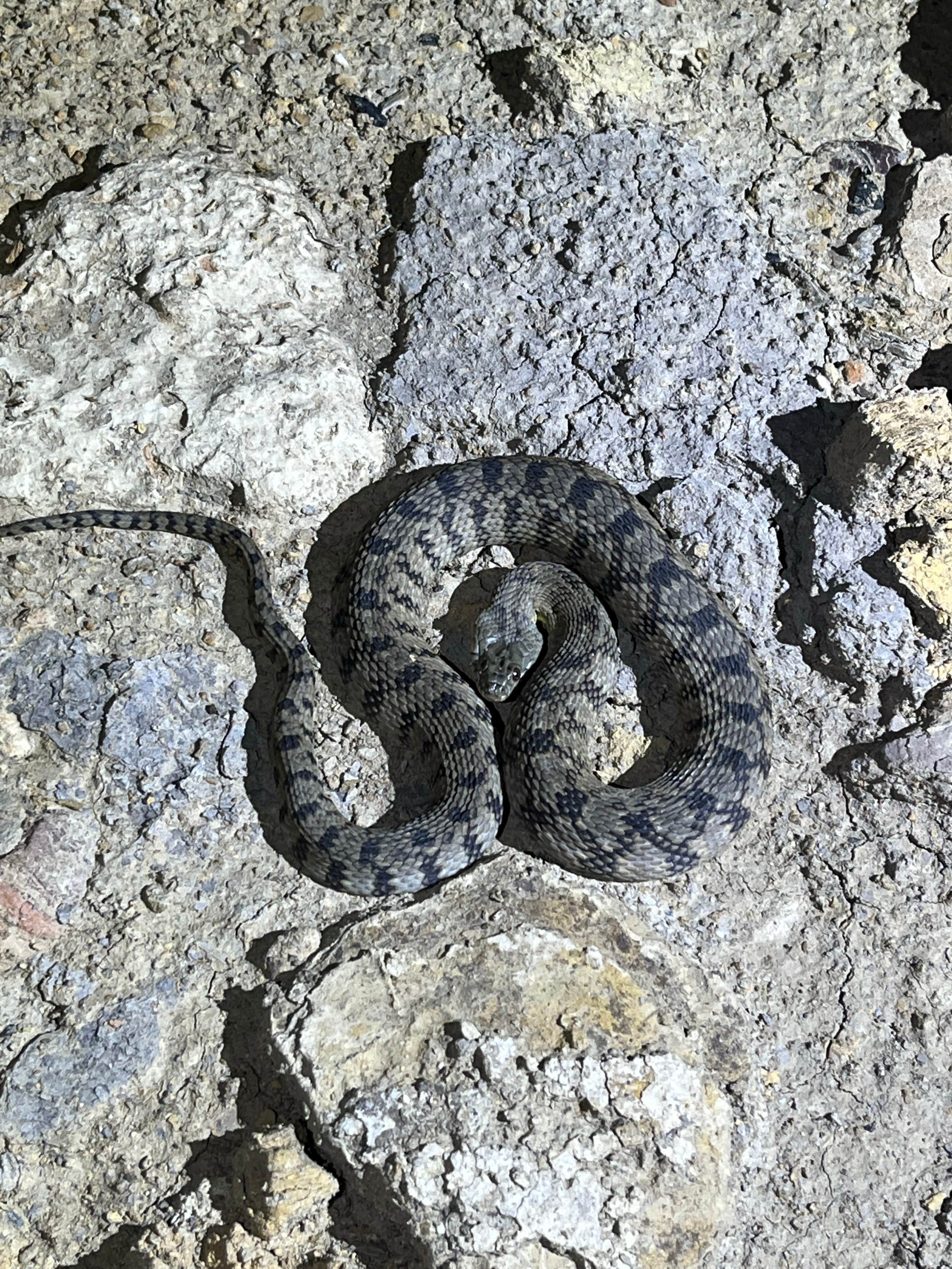 Camper-submitted photo at Ragtown Campground near San Augustine, TX