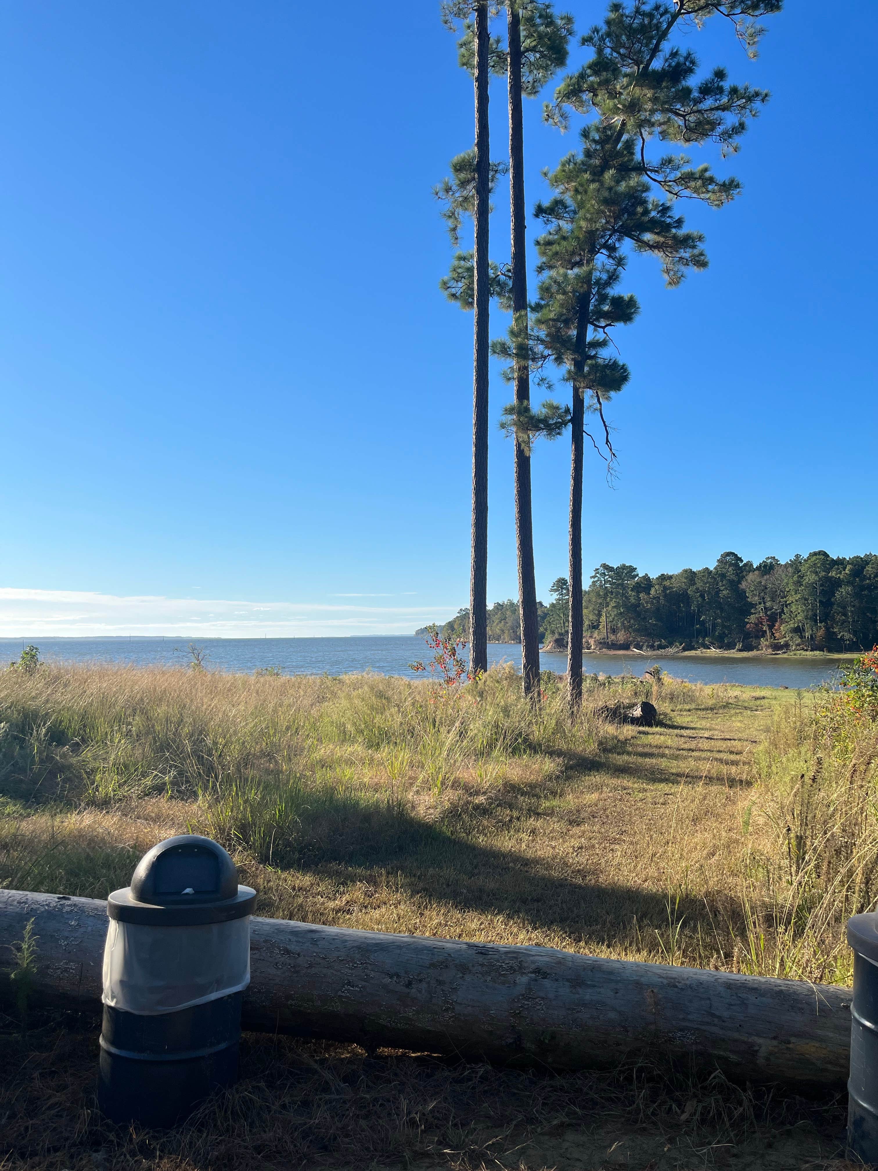 Camper-submitted photo at Ragtown Campground near San Augustine, TX