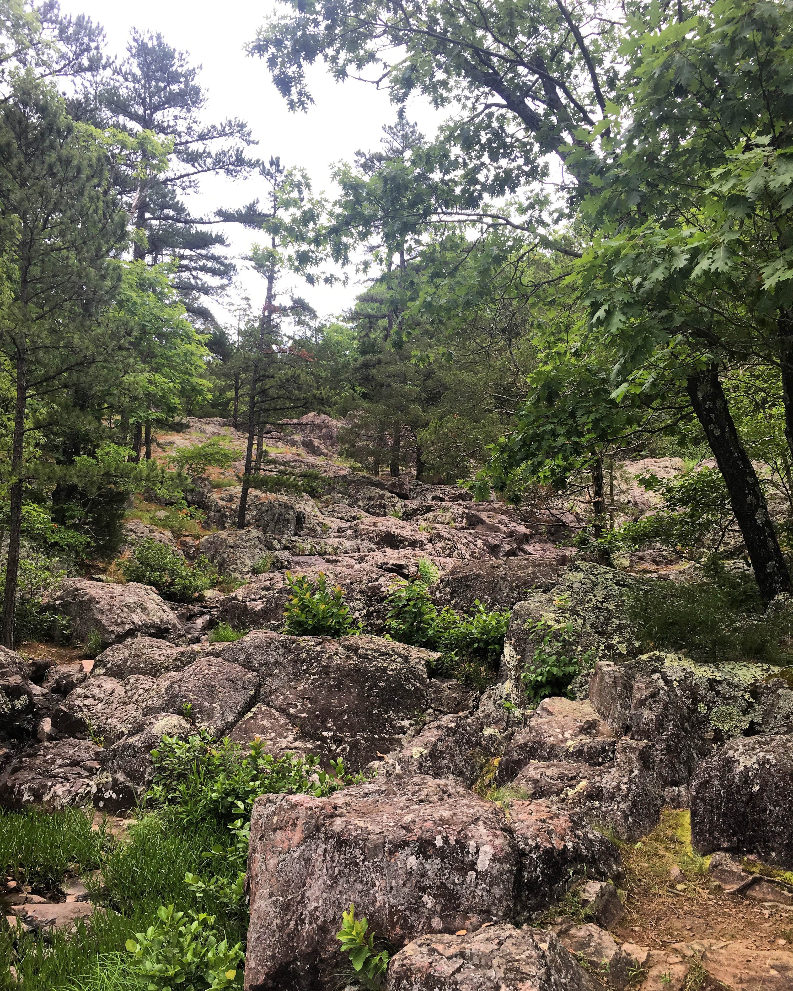 Camper-submitted photo at Taum Sauk Mountain State Park Campground near Irondale, MO
