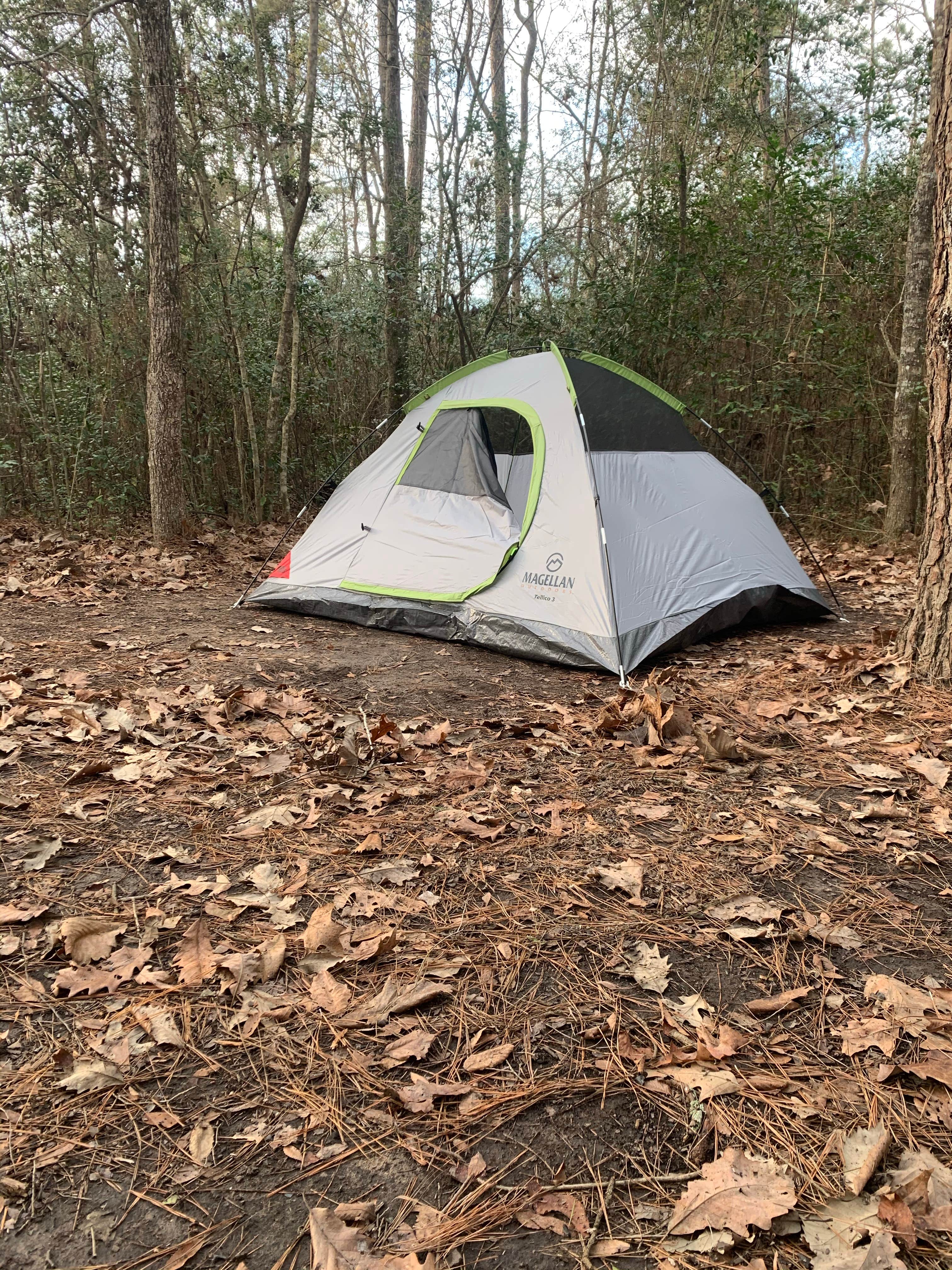 Camper submitted image from Lake Houston Wilderness Park - 3