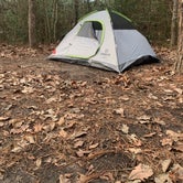 Review photo of Lake Houston Wilderness Park by Amanda C., November 14, 2021