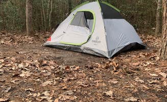 Amanda C.'s photo at Lake Houston Wilderness Park near Houston, TX