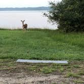 Review photo of Martin Dies, Jr. State Park Campground by Amanda C., November 14, 2021