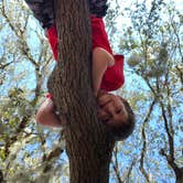 Review photo of Brazos Bend State Park Campground by Amanda C., November 14, 2021