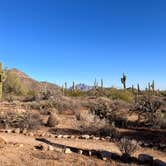 Review photo of Usery Mountain Regional Park by Abby , November 14, 2021
