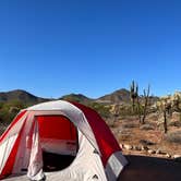 Review photo of Usery Mountain Regional Park by Abby , November 14, 2021