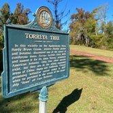 Review photo of Torreya State Park Campground by Jenn B., November 14, 2021