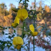 Review photo of Torreya State Park Campground by Jenn B., November 14, 2021