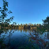 Review photo of Torreya State Park Campground by Jenn B., November 14, 2021