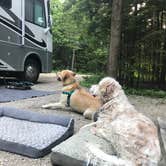 Review photo of Wagon Trail Campground by Marissa F., July 7, 2018