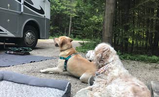 Marissa F.'s photo of camping with pets at Wagon Trail Campground near Ephraim, WI