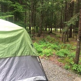 Review photo of Blackwoods Campground — Acadia National Park by Ashlee L., July 7, 2018