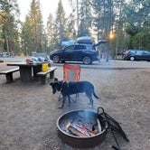 Review photo of Madison Campground — Yellowstone National Park by Sotnos B., November 14, 2021