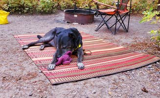 Sotnos B.'s photo of camping with pets at Signal Mountain Campground — Grand Teton National Park near Grand Teton National Park