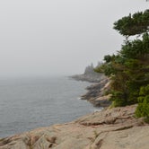 Review photo of Blackwoods Campground — Acadia National Park by Ashlee L., July 7, 2018
