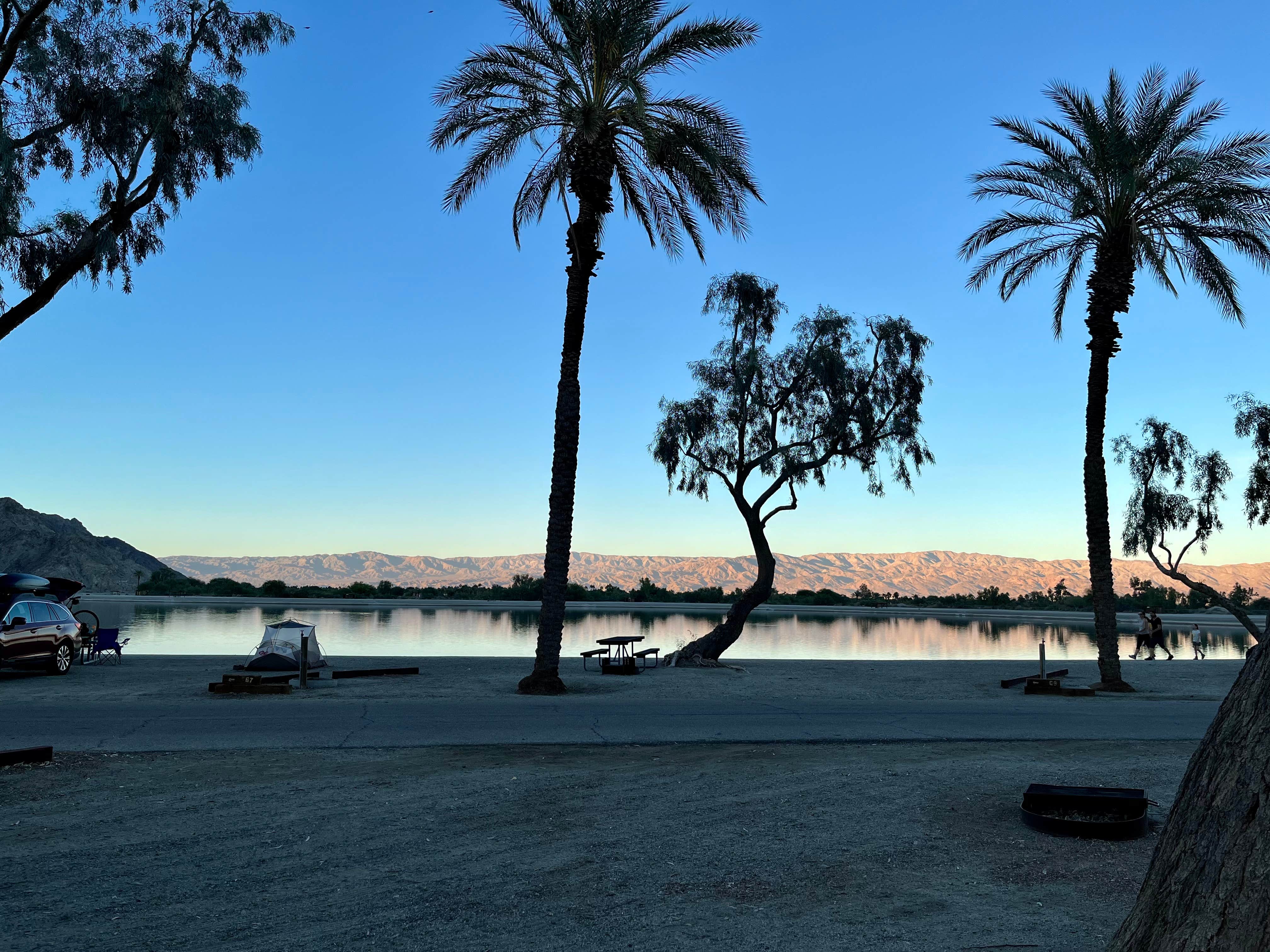 Camper submitted image from Lake Cahuilla - 4