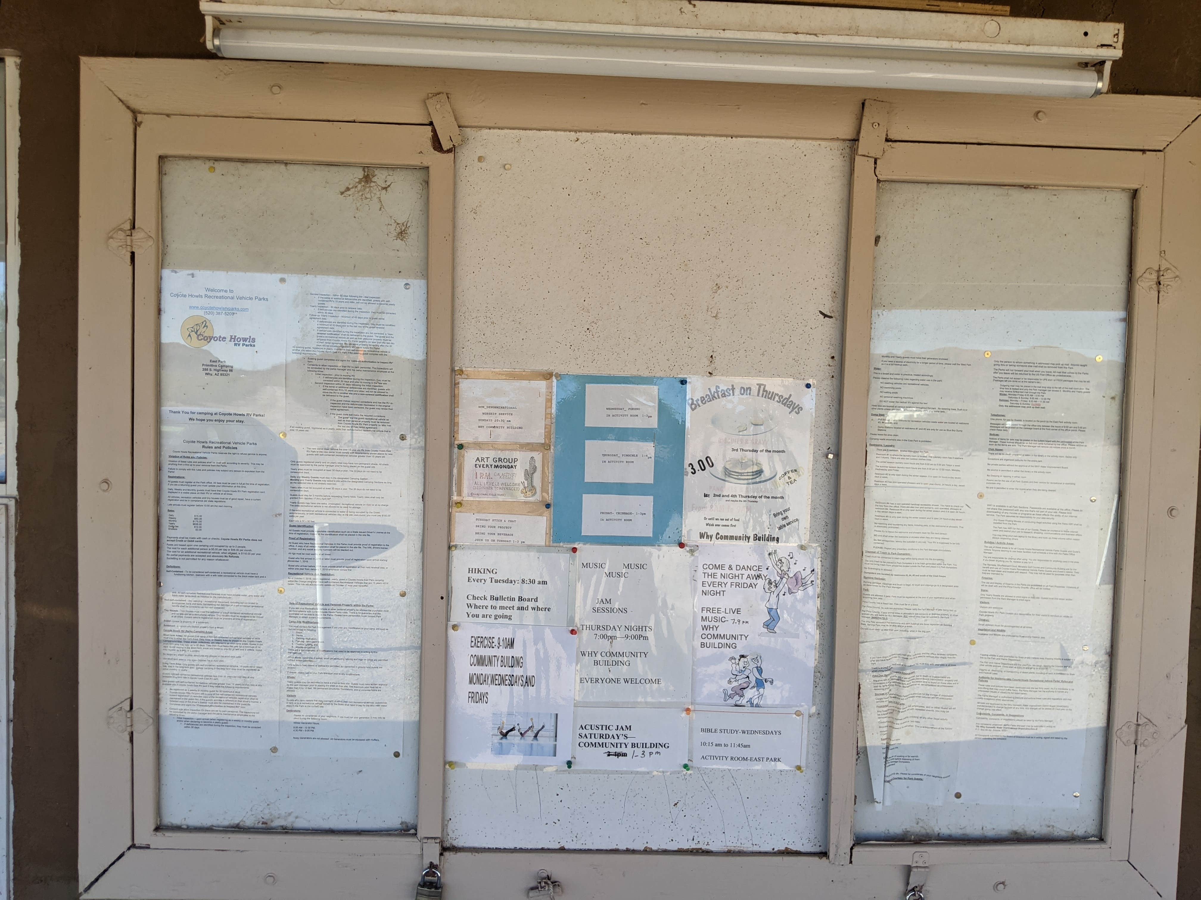 Camper-submitted photo at Coyote Howls East RV Park near Organ Pipe Cactus National Monument