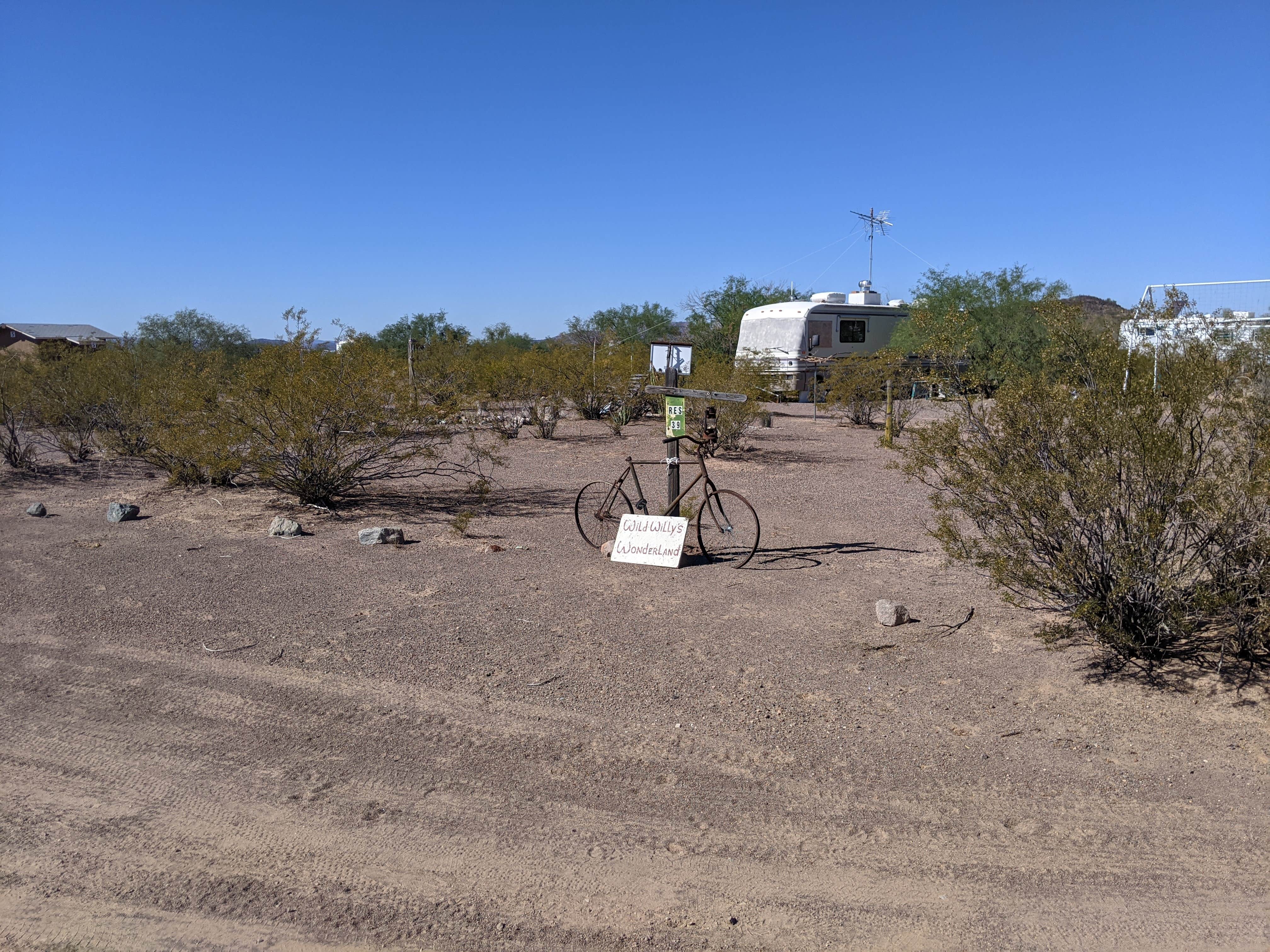 Camper-submitted photo at Coyote Howls East RV Park near Organ Pipe Cactus National Monument