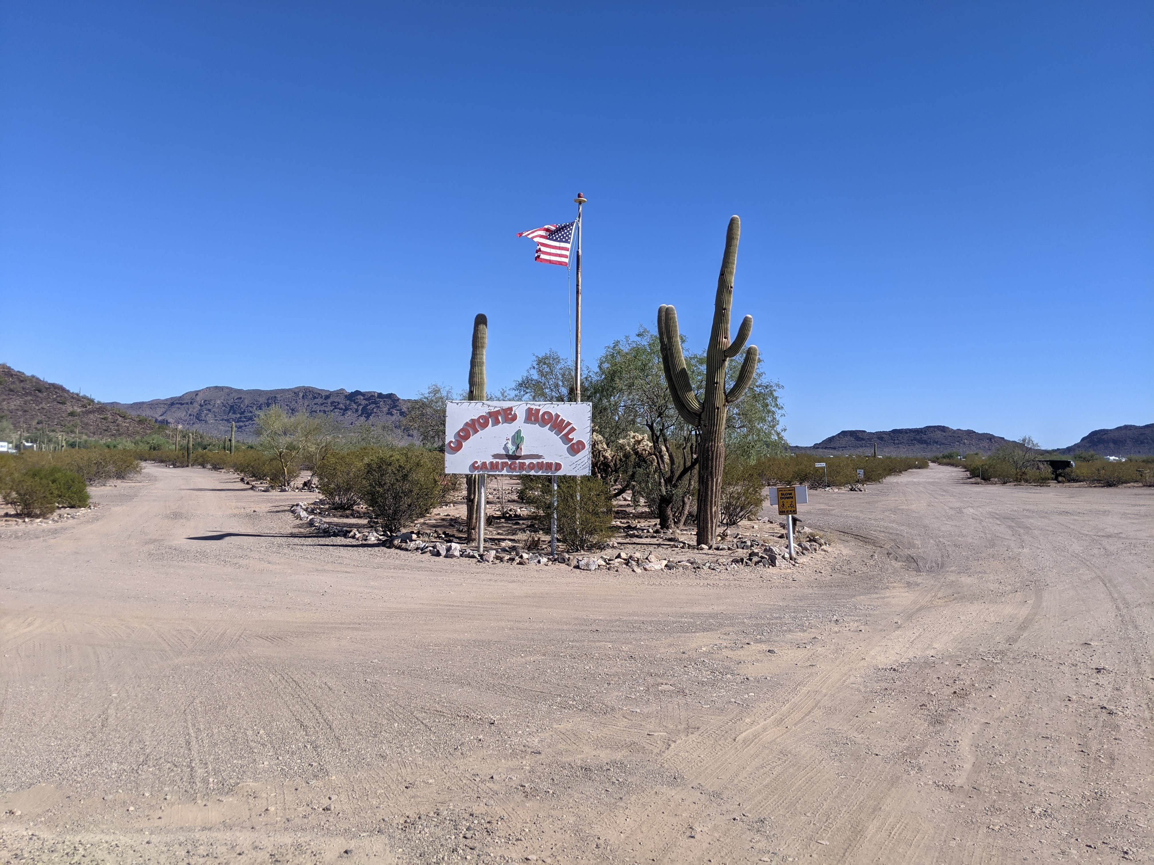 Camper-submitted photo at Coyote Howls East RV Park near Organ Pipe Cactus National Monument