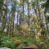 Review photo of Fort Stevens State Park Campground by Danielle L., November 14, 2021