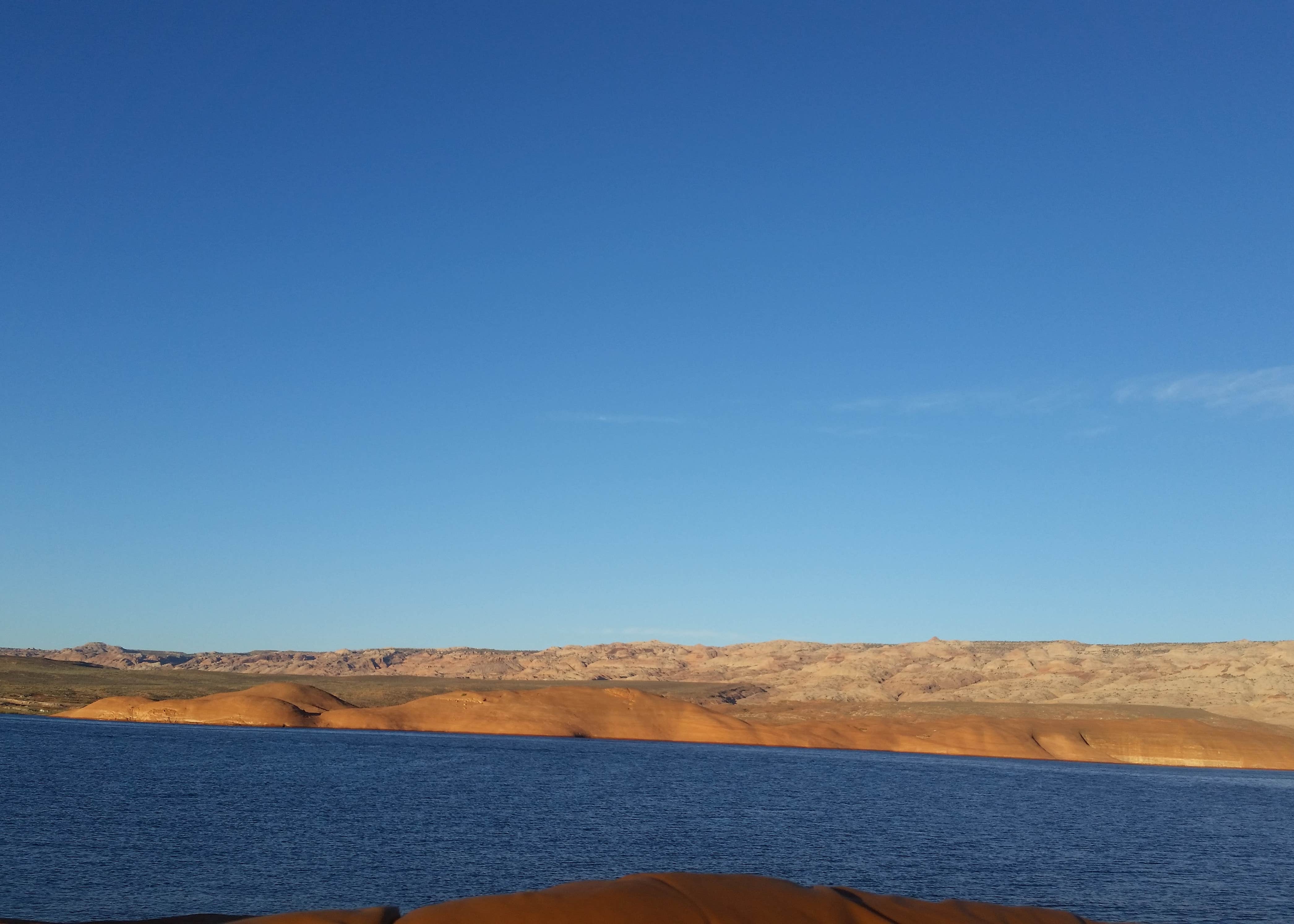 View All