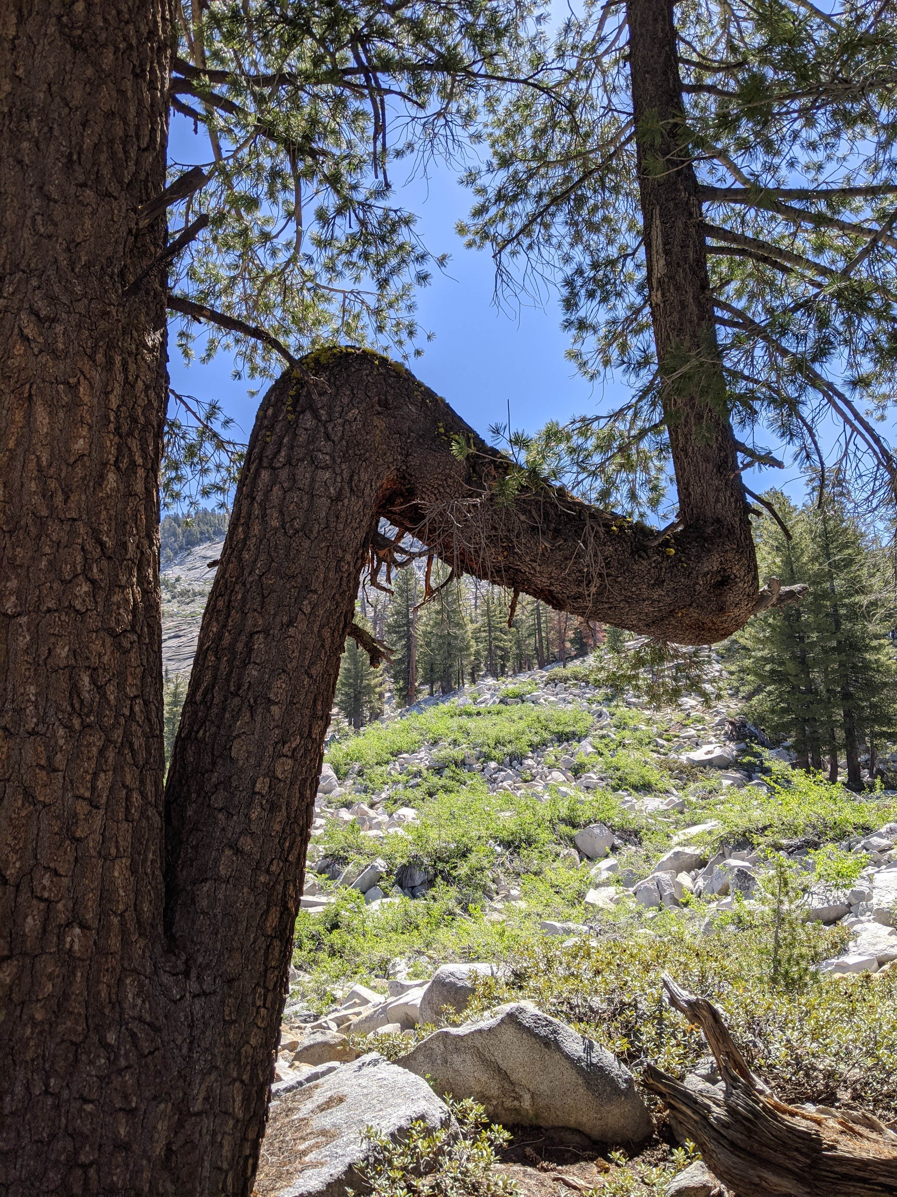 Camper-submitted photo at Green Lake test near Lee Vining, CA