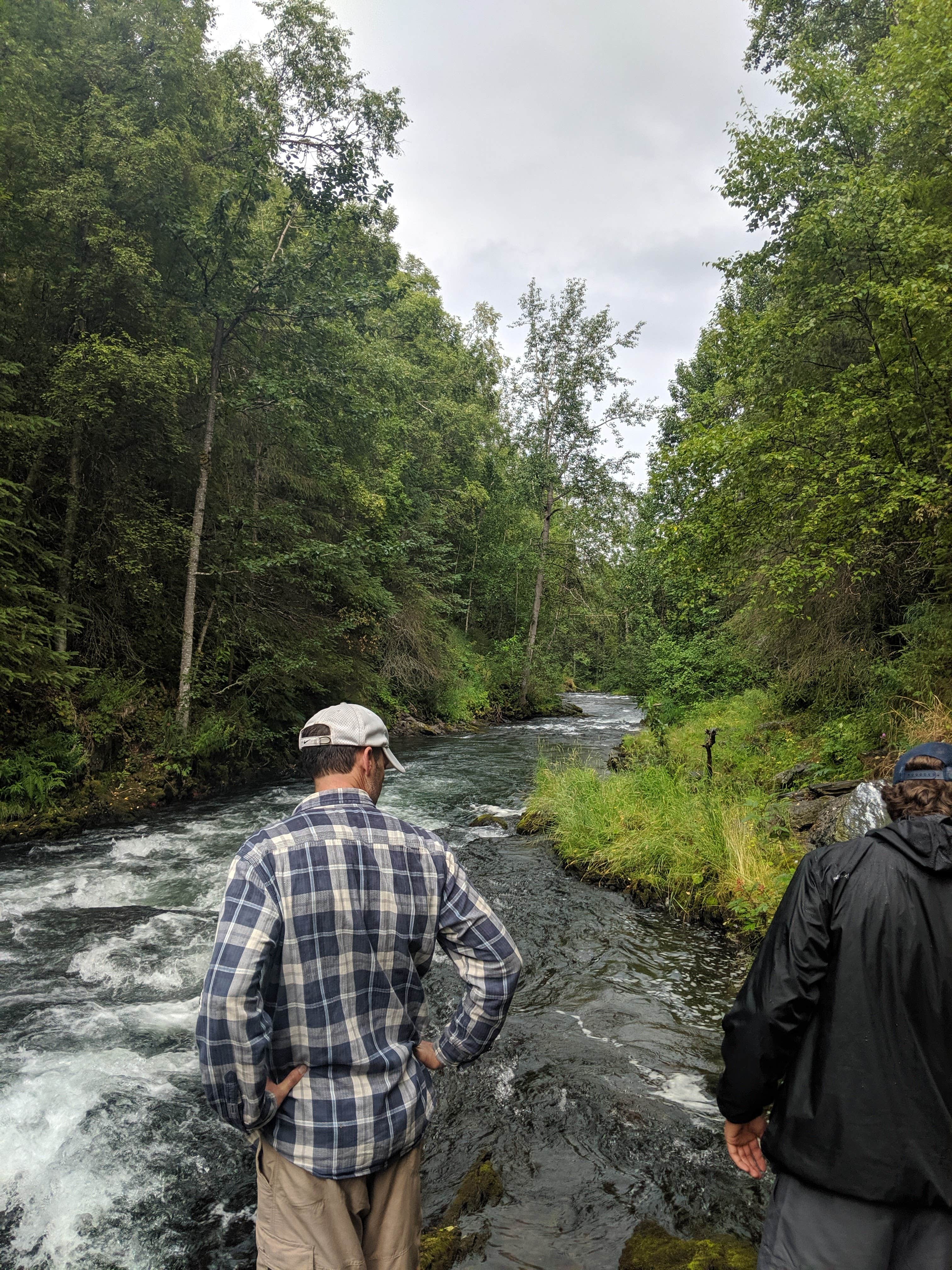 Camper-submitted photo at Bertha Creek Campground — Chugach National Forest near Hope, AK
