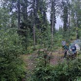 Review photo of Bertha Creek Campground — Chugach National Forest by Tyler R., November 14, 2021