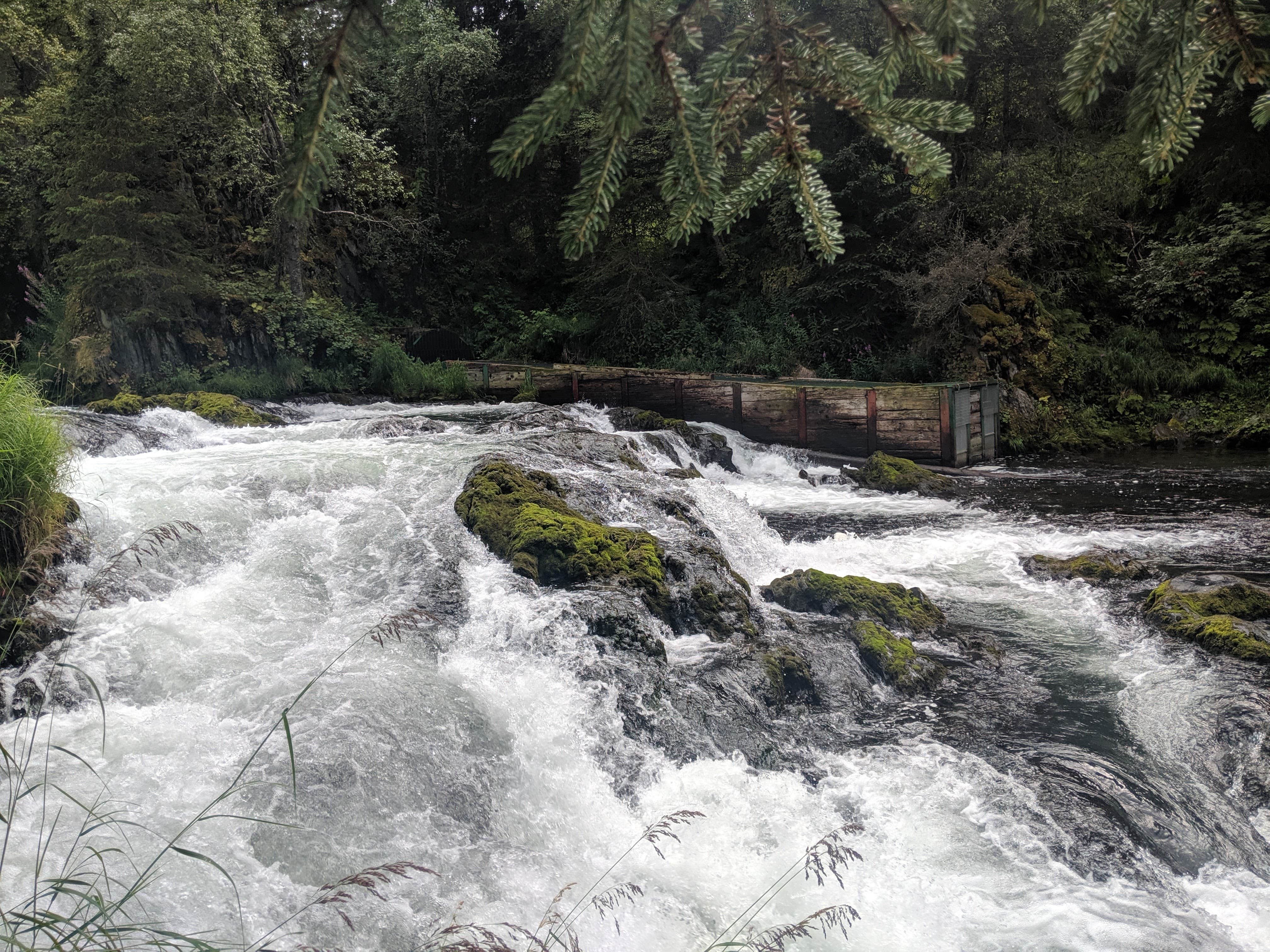 Camper-submitted photo at Bertha Creek Campground — Chugach National Forest near Hope, AK