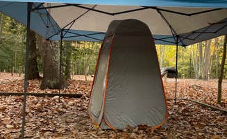 Justin C.'s photo at Westmoreland State Park Campground near Lusby, MD