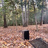 Review photo of Westmoreland State Park Campground by Justin C., November 15, 2021