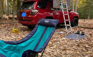 Justin C.'s photo at Westmoreland State Park Campground near Aylett, VA