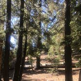 Review photo of Little Jimmy Trail Campground - CLOSED DUE TO FIRE by Jennifer D., July 7, 2018