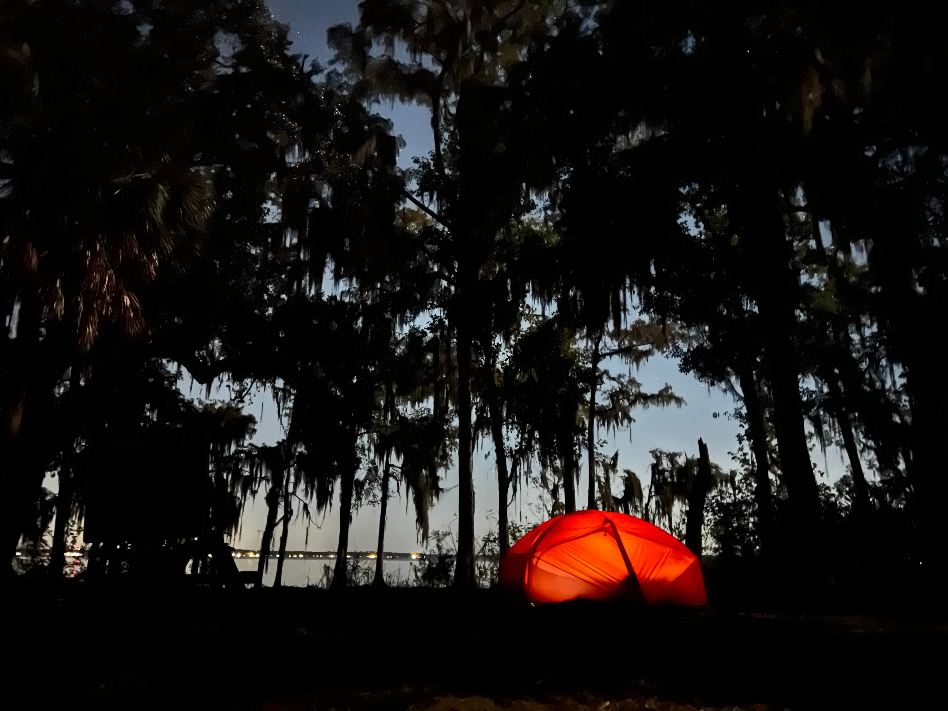 Camper-submitted photo at Bayard Conservation Area near Orange Park, FL