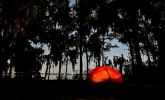 Camping near Camp Chowenwaw Park - Treehouse Point: Bayard Conservation Area, Green Cove Springs, Florida