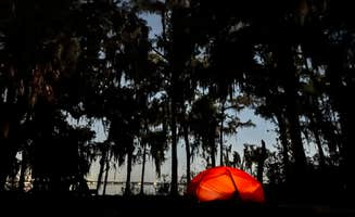 Nate D.'s photo of tent camping at Bayard Conservation Area in Florida