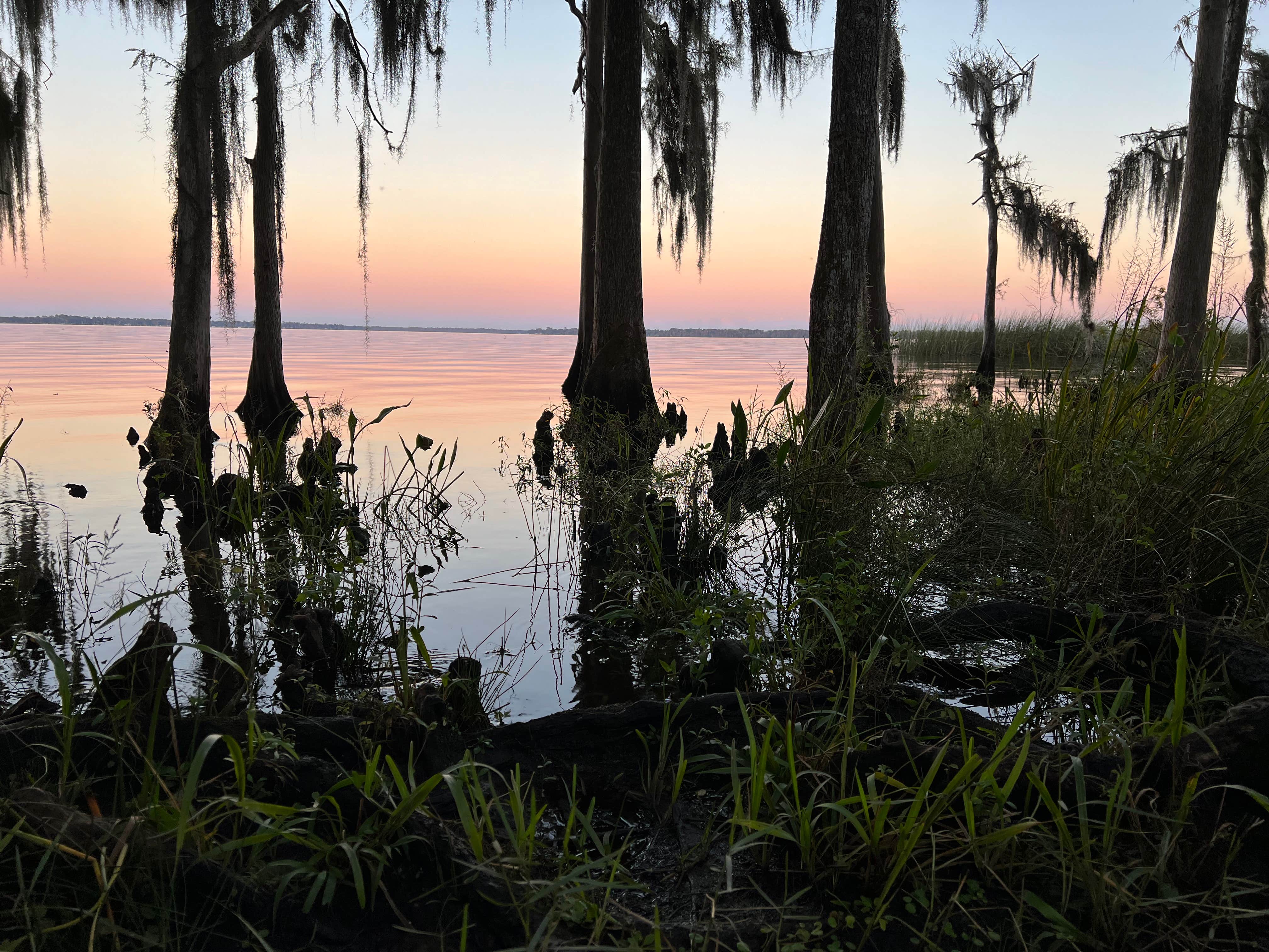 Camper-submitted photo at Bayard Conservation Area near Orange Park, FL