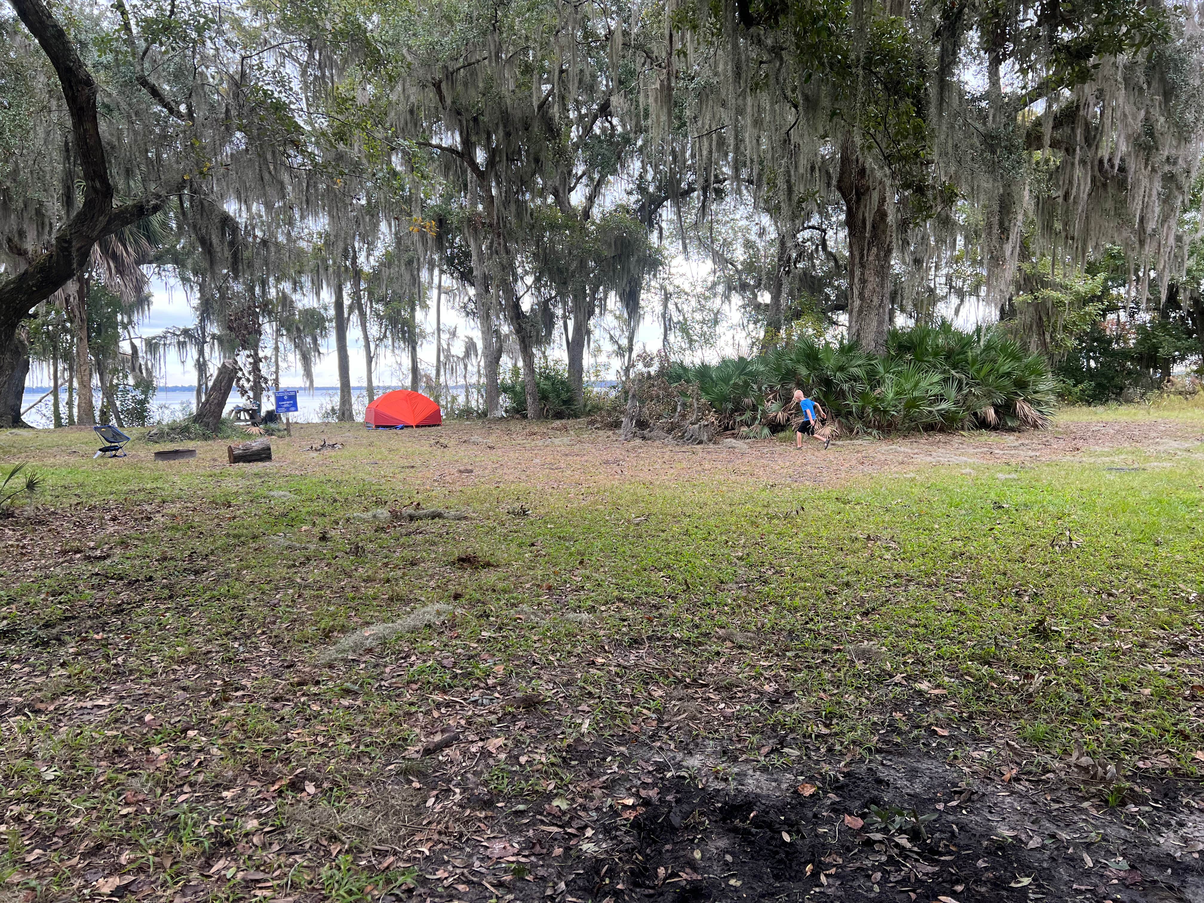 Camper-submitted photo at Bayard Conservation Area near Orange Park, FL