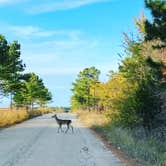 Review photo of McGee Creek State Park Campground by cindy W., November 15, 2021