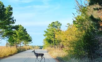 cindy W.'s photo of camping with pets at McGee Creek State Park Campground near Clayton, OK