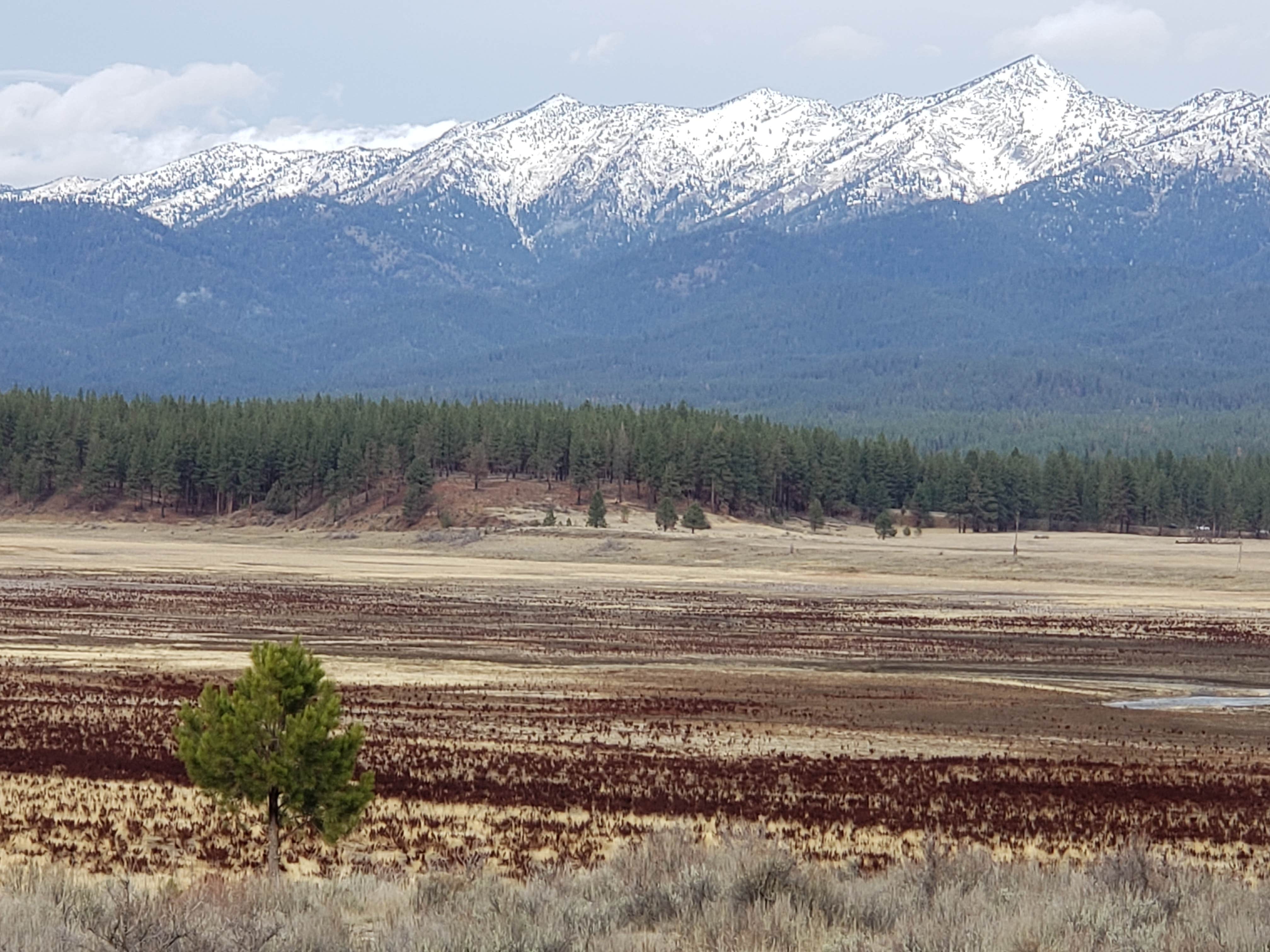 Camper-submitted photo at Millers Lane near Sumpter, OR
