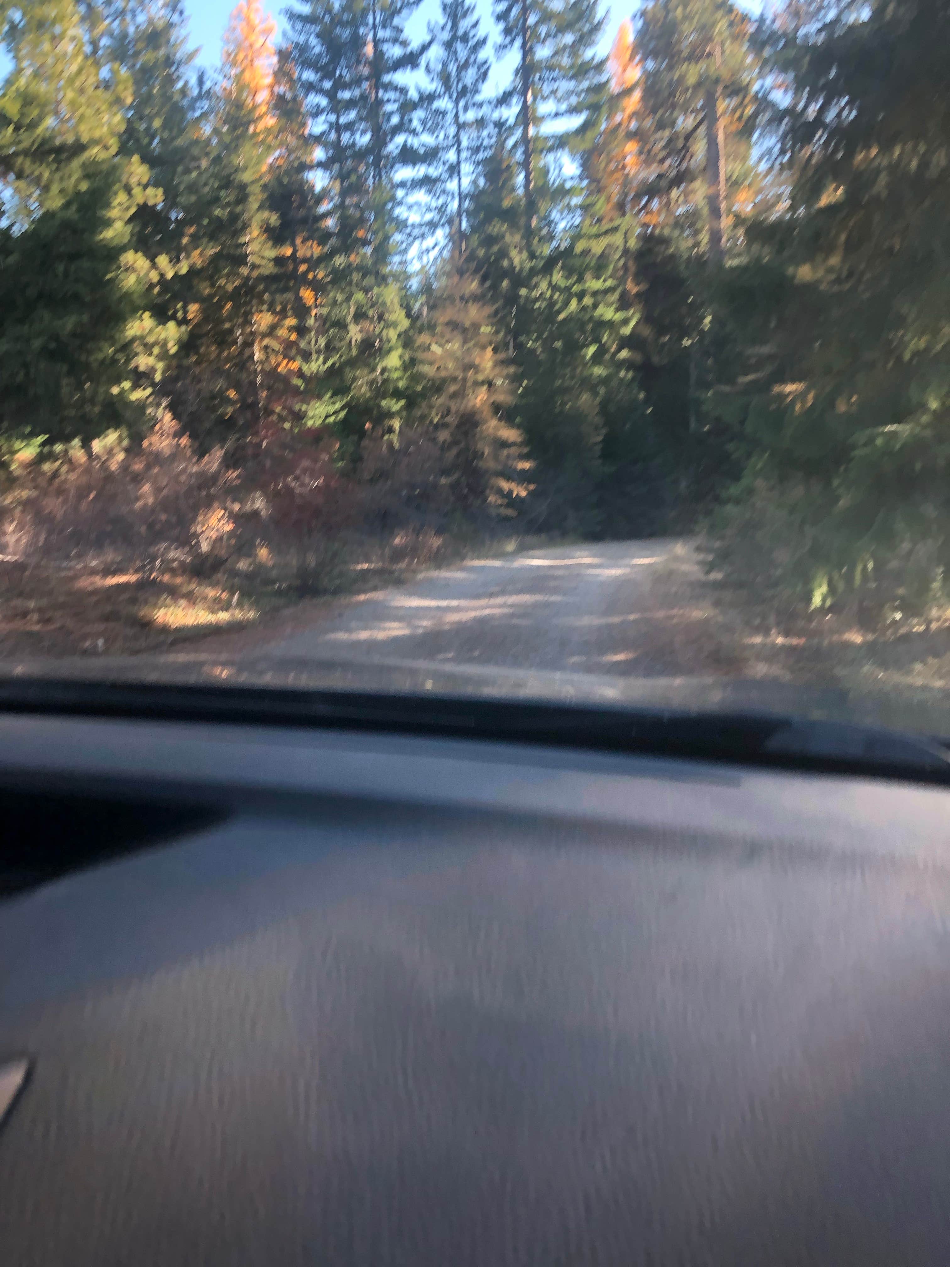 Camper-submitted photo at Knebal Springs near Mosier, OR