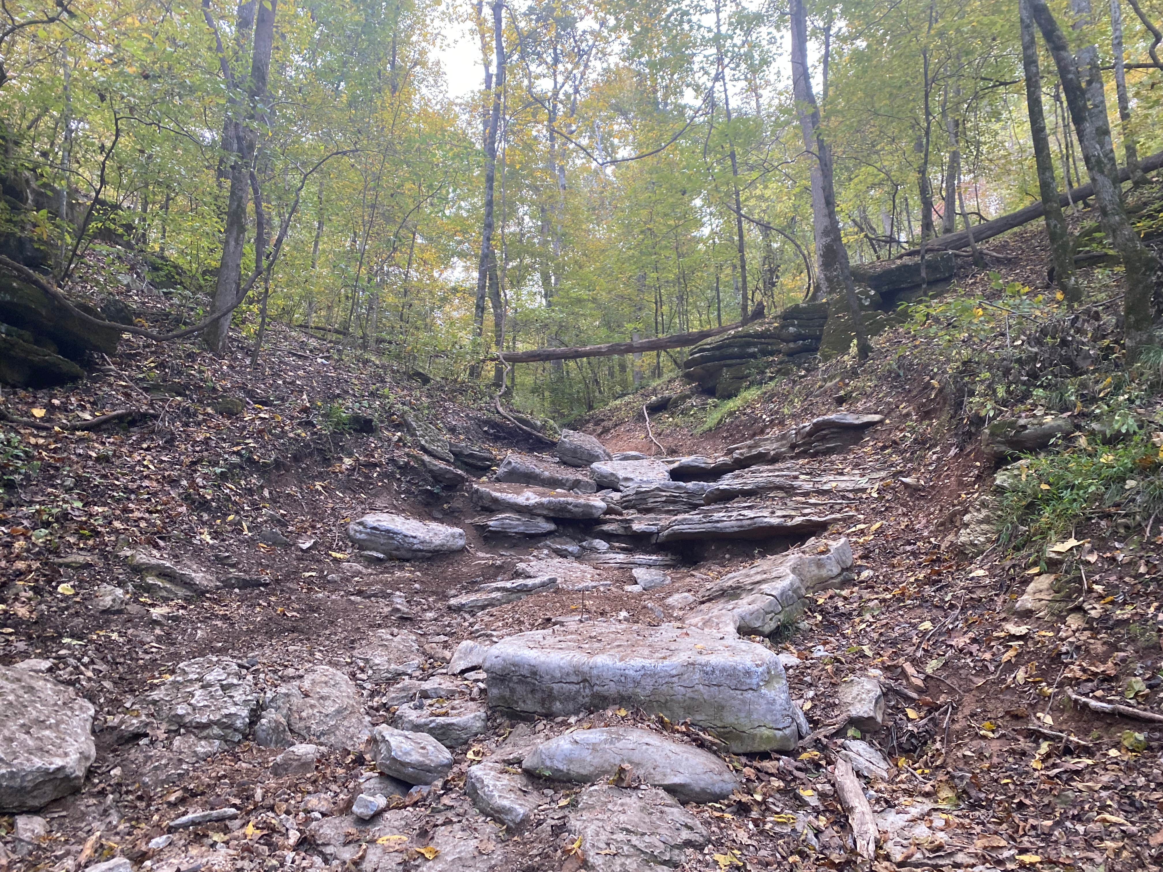 Camper-submitted photo at Rush Springs Ranch UTV/ATV Park Campground near Bella Vista, AR